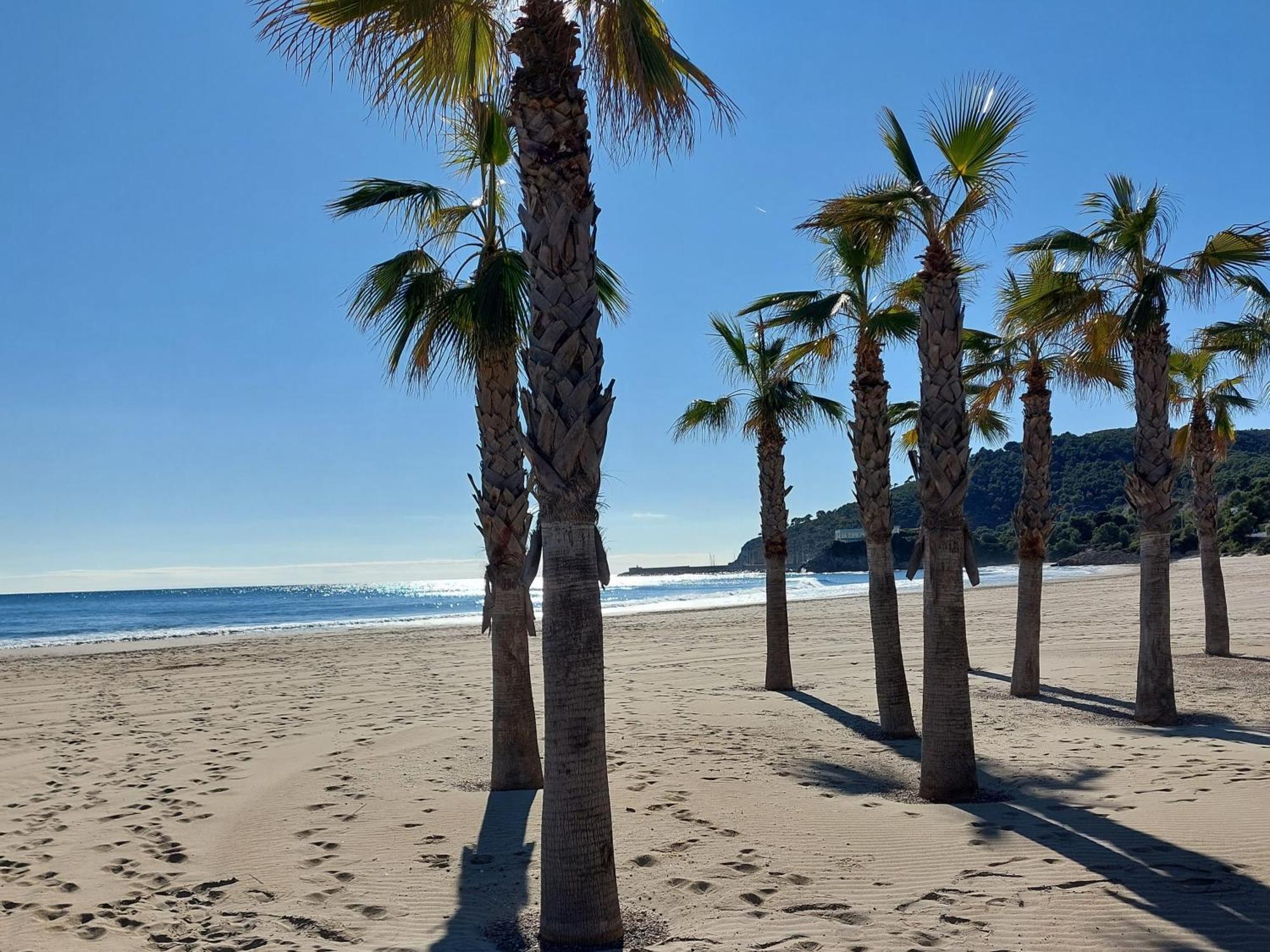 Apartamento Neptuno Sunrise Magic World Oropesa del Mar Bagian luar foto